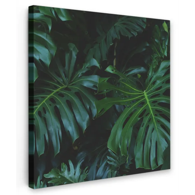 Monstera - Bladeren - Tropisch - Jungle Tuinposter op houten frame 2 cm dik klein -3d