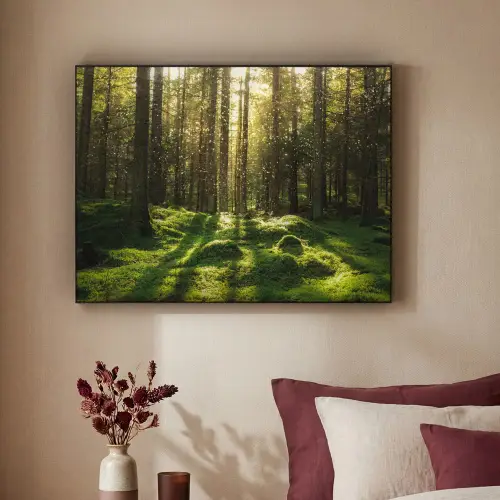 Bomen - Bos - Mos - Planten - Zon - Natuur Textielframe zwart klein -sfeer1
