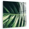 Bladeren - Tropisch - Jungle plexiglas 5mm klein -zzzproduct_nieuw