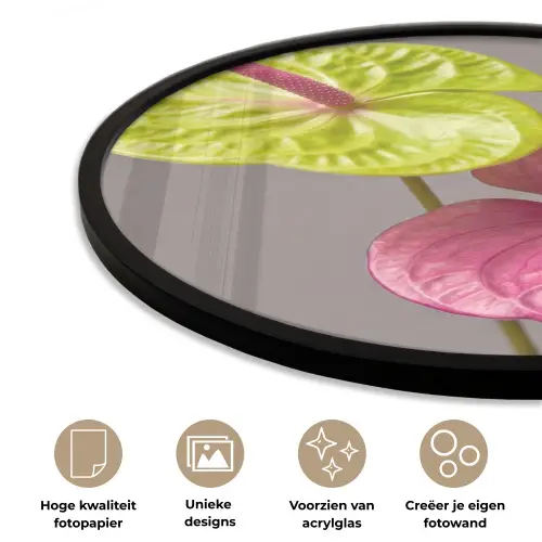 Planten - Anthurium - Groen - Roze Fotolijst rond zonder passe partout klein -closeup_NL