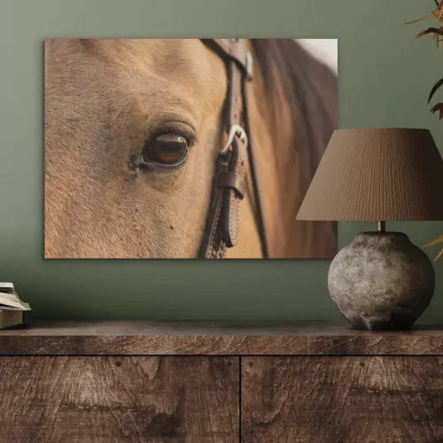 Paard - Oog - Bruin PET vilt klein -sfeer2