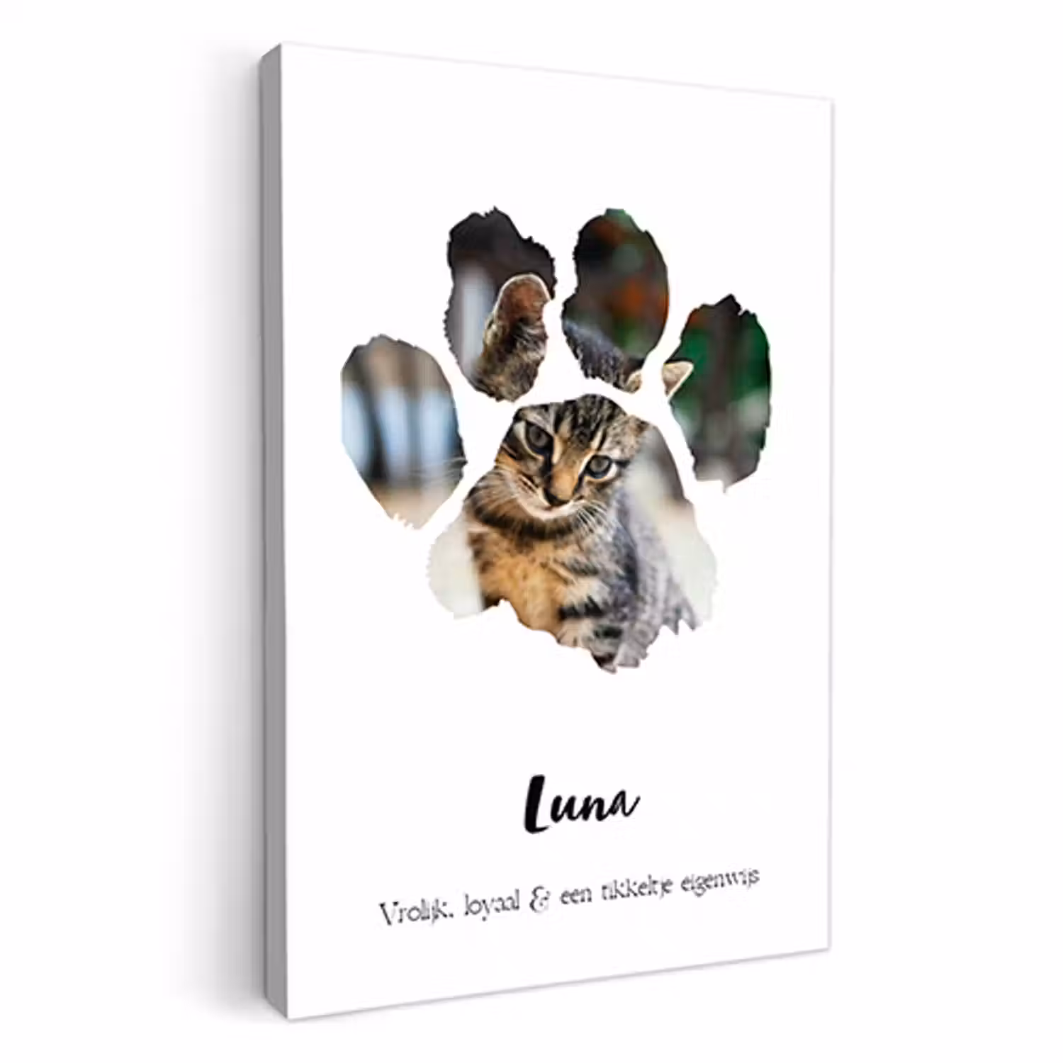 Canvas - Kattenpootje afdruk