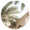 Gebouw - Palmbomen - Beige - Zon Wandcirkel kunststof plaat 5mm dik klein -3d