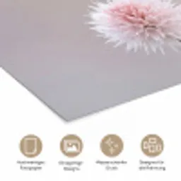 Bloemen - Bollen - Roze poster papier klein -tcloseup_DE