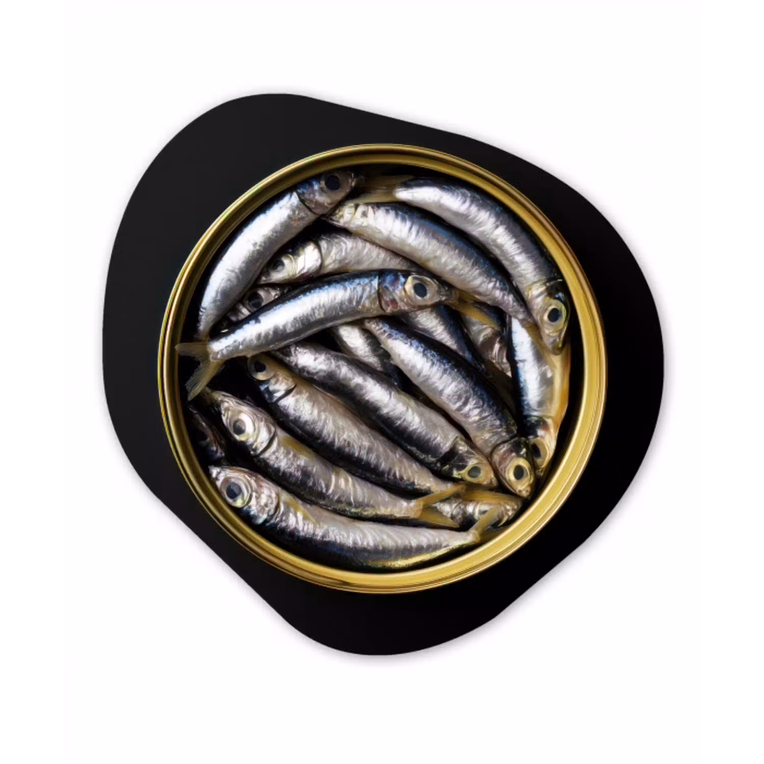 Sardines - Vissen - Rond - Zwart Wandcirkel Organisch Plexiglas middel -3d