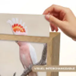 Papagaai - Tak - Roze Light Box met kabel (Kinderlampje) klein -USP_websiteprintFR