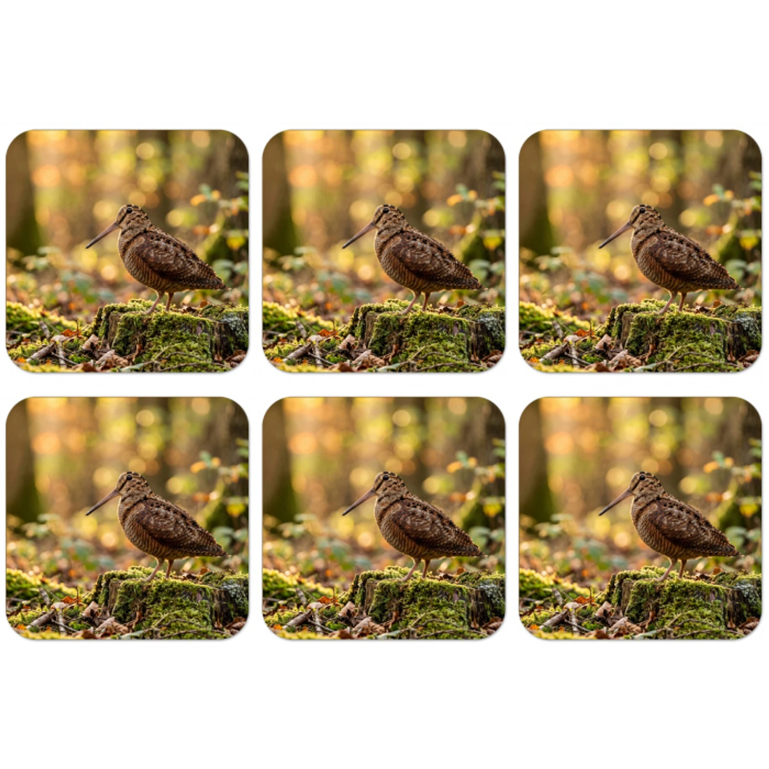 Houtsnip - Bos - Bladeren - Herfst - Gecamoufleerd onderzetter kurk middel -zkaufland3dotto