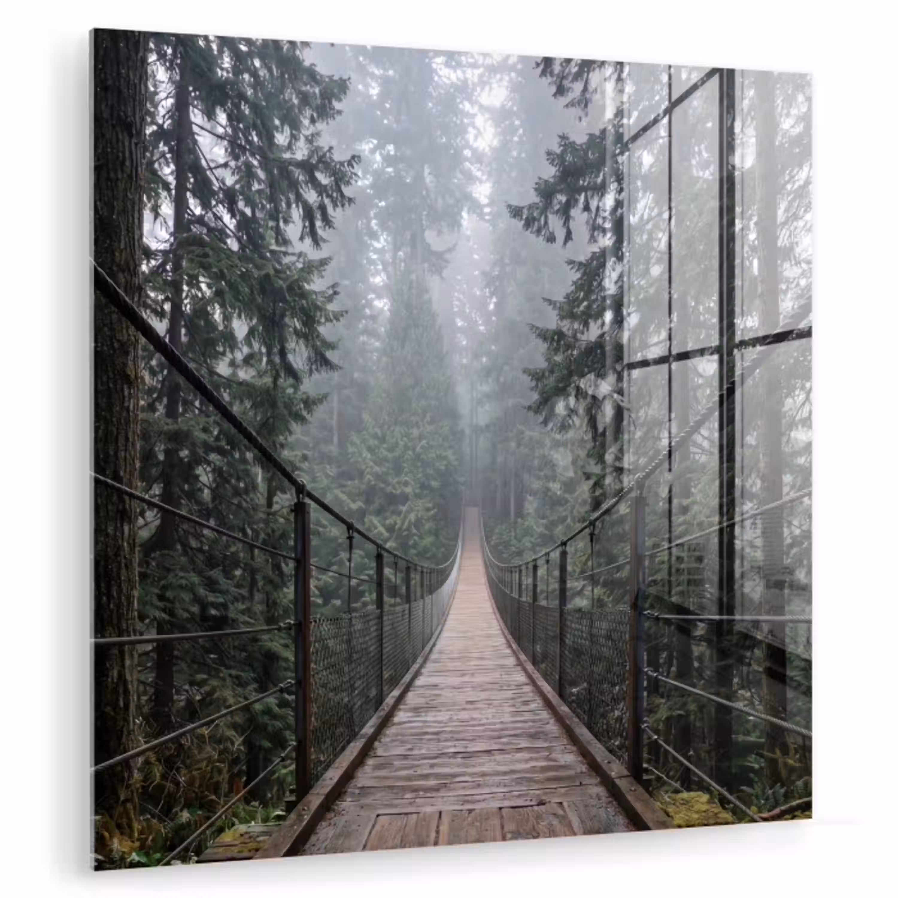 Brug - Bos - Mist - Natuur plexiglas 5mm klein -zzzproduct_nieuw