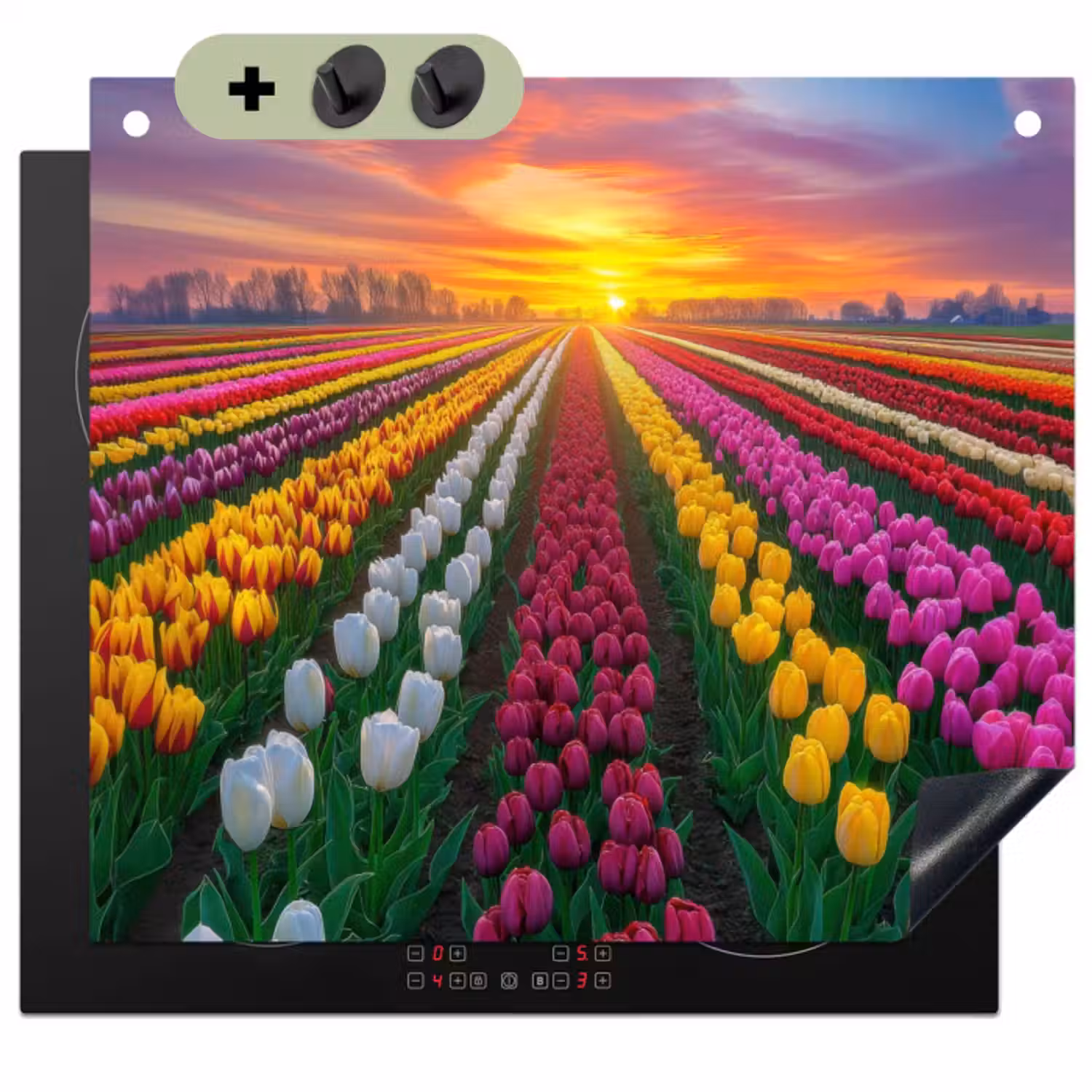 Inductie beschermer en spatscherm (2in1) - Tulpenveld - Zonsondergang - Kleurrijk