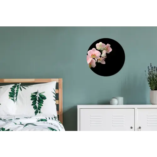 Orchidee - Bloemen - Roze - Stilleven - Flora Wandcirkel aluminium klein -slaapkamer