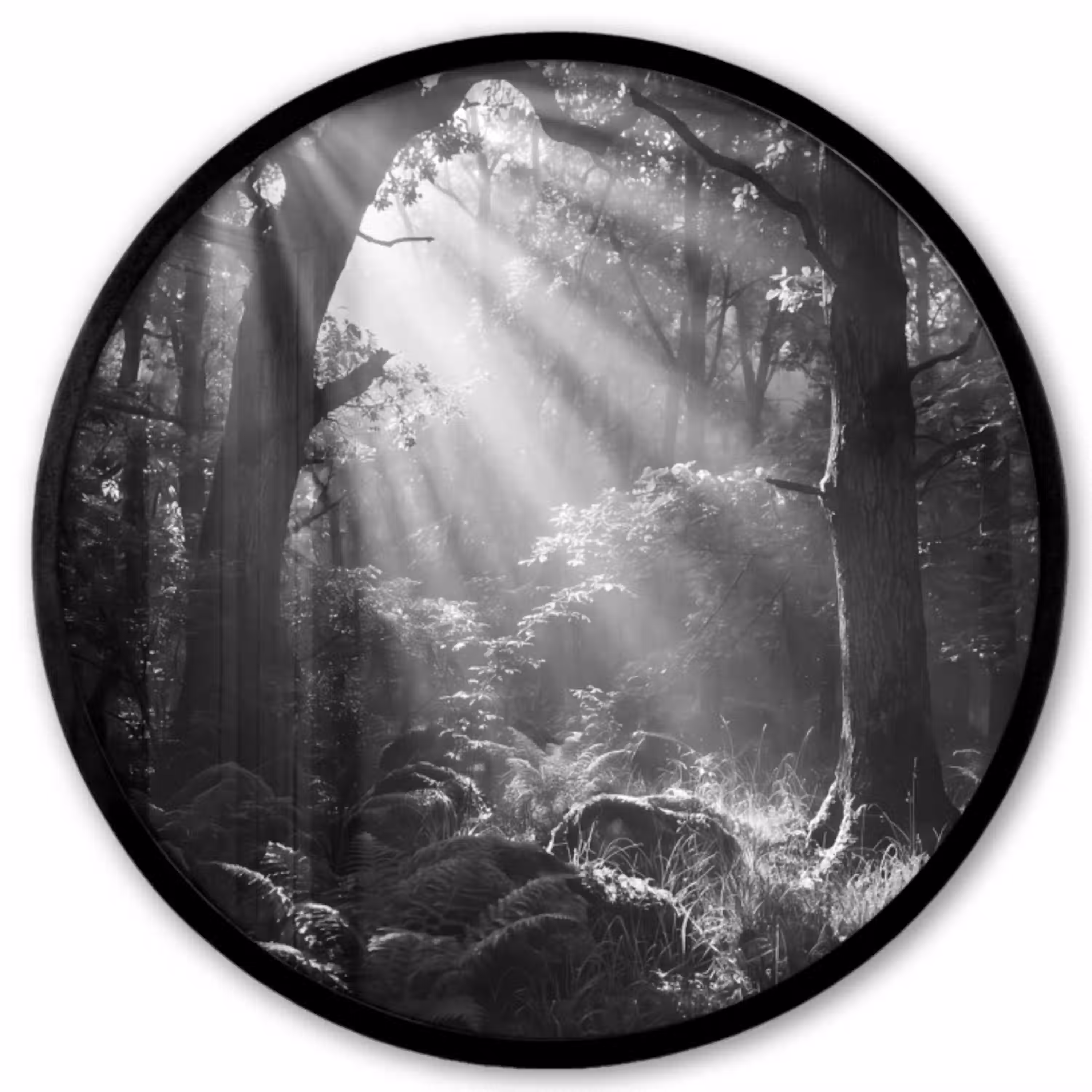 Bos - Lichtstralen - Natuur - Zwart-wit Fotolijst rond zonder passe partout klein -3d
