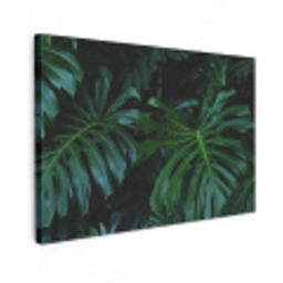 Monstera - Bladeren - Tropisch - Jungle Tuinposter op houten frame 2 cm dik klein -3d