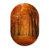 Herfst - Rood - Bos Wandcirkel Ovaal Forex klein -3d