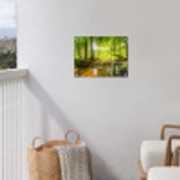 Zonnestralen in een groen bos tuinposter los doek klein -sfeer8