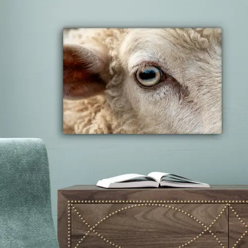 Schaap - Oog - Wit canvas 2cm klein -sfeer4