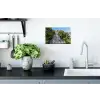 Boeddha beelden - Jungle - Buddha - Spiritualiteit - Mediteren Muursticker klein -keuken