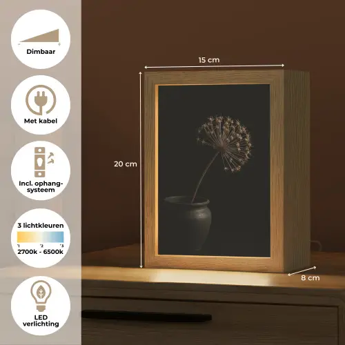 Bol - Gedroogd - Vaas - Zwart Light Box met kabel (Tafellamp) klein -USP_NL