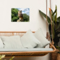 Uil - Boomstronk - Bos - Lucht tuinposter los doek klein -sfeer7