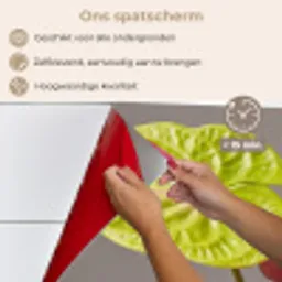 Planten - Anthurium - Groen - Roze keuken achterwand spatscherm klein -spatscherm_NL