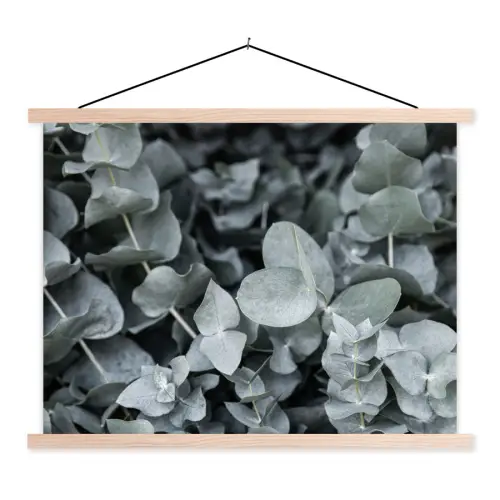 Close-up van eucalyptusplanten uit de natuur textielposter latten blank klein -3d