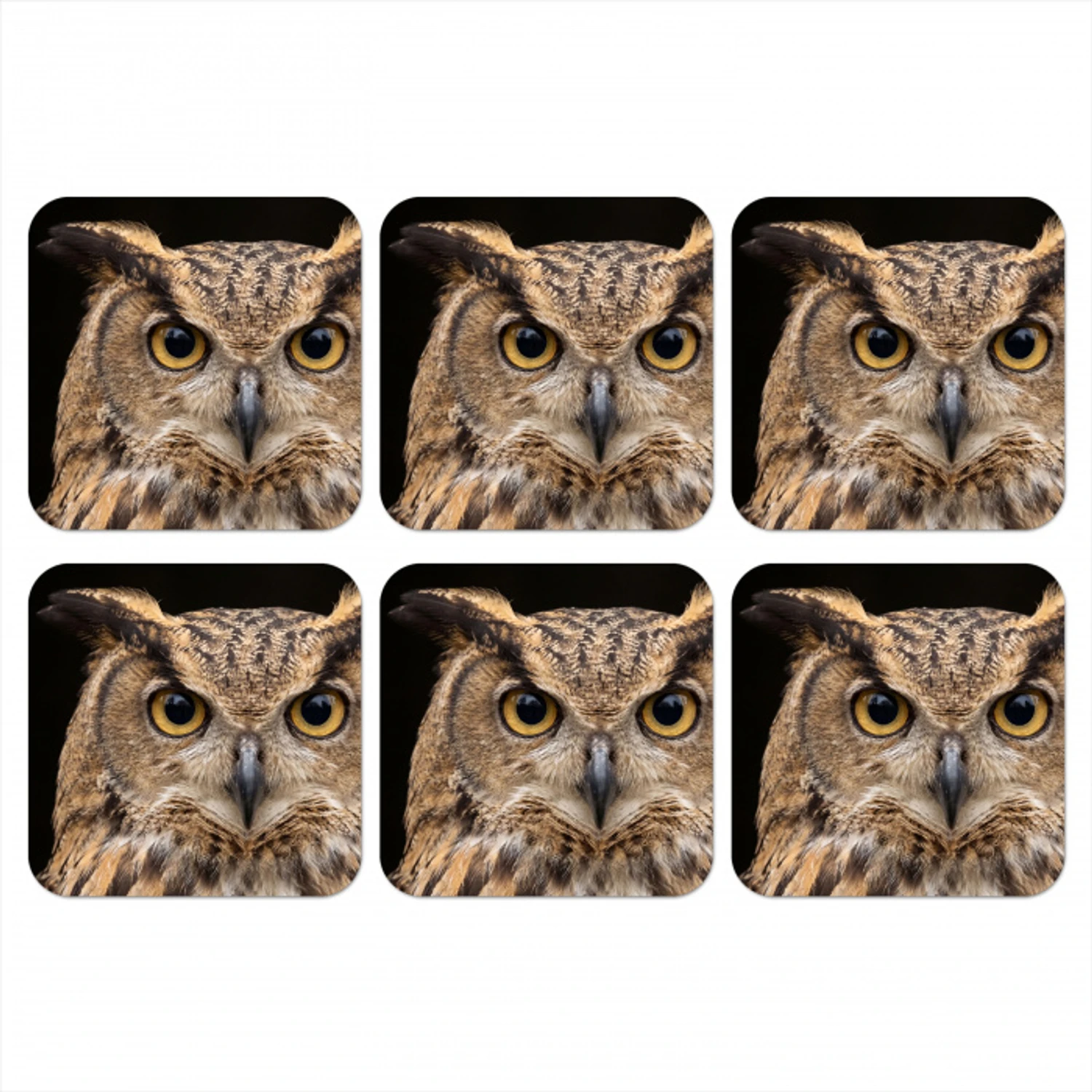 Oehoe - Uil - Portret - Bruin onderzetter kurk middel -3d