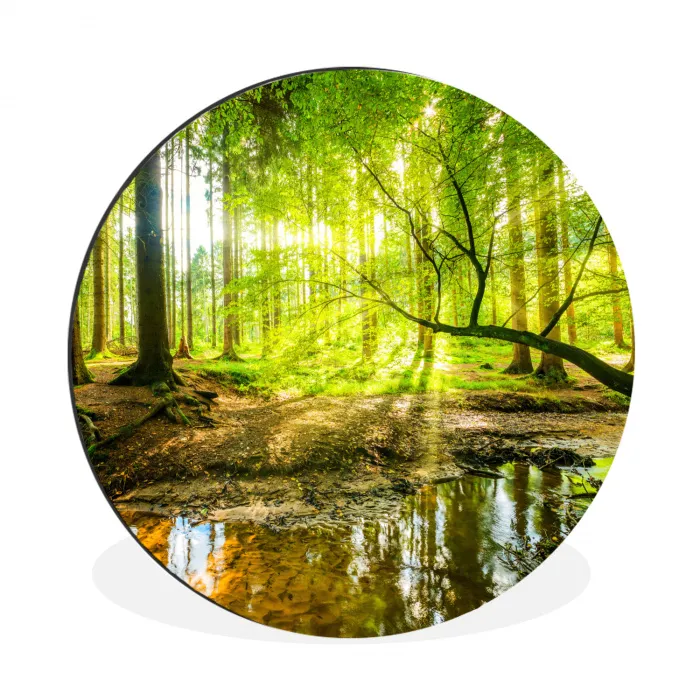 Bos - Landschap - Water - Bomen - Zon Wandcirkel aluminium klein -3d