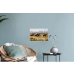 Paarden - Kudde - Bergen - Vrijheid - Wild Muursticker klein -plant