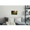 Eekhoorn - Nootje - Gras Muursticker klein -slaapkamer