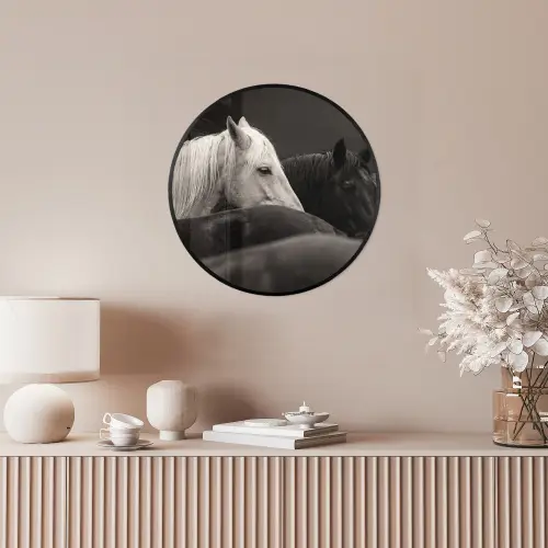 Paarden - Zwart - Wit - Kudde Fotolijst rond zonder passe partout klein -sfeer3