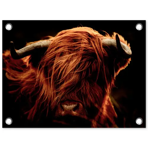 Schotse hooglander - Koe - Hoorns - Portret - Dieren tuinposter los doek klein -3d