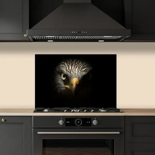 Vogel - Adelaar - Roofvogels - Oog - Snavel - Licht keuken achterwand spatscherm klein -sfeer1