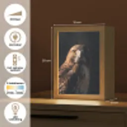 Roofvogel - Buizerd - Bruin Light Box met kabel (Kinderlampje) klein -USP_NL