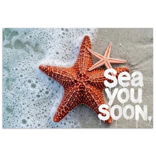 Sea you soon - Zeester - Zee poster papier klein -3d