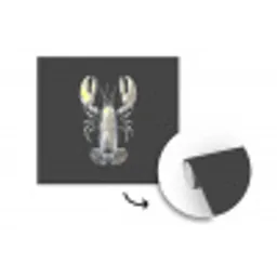 Kreeft - Zilver - Metallic - Luxe fotobehang vinyl groot -3d