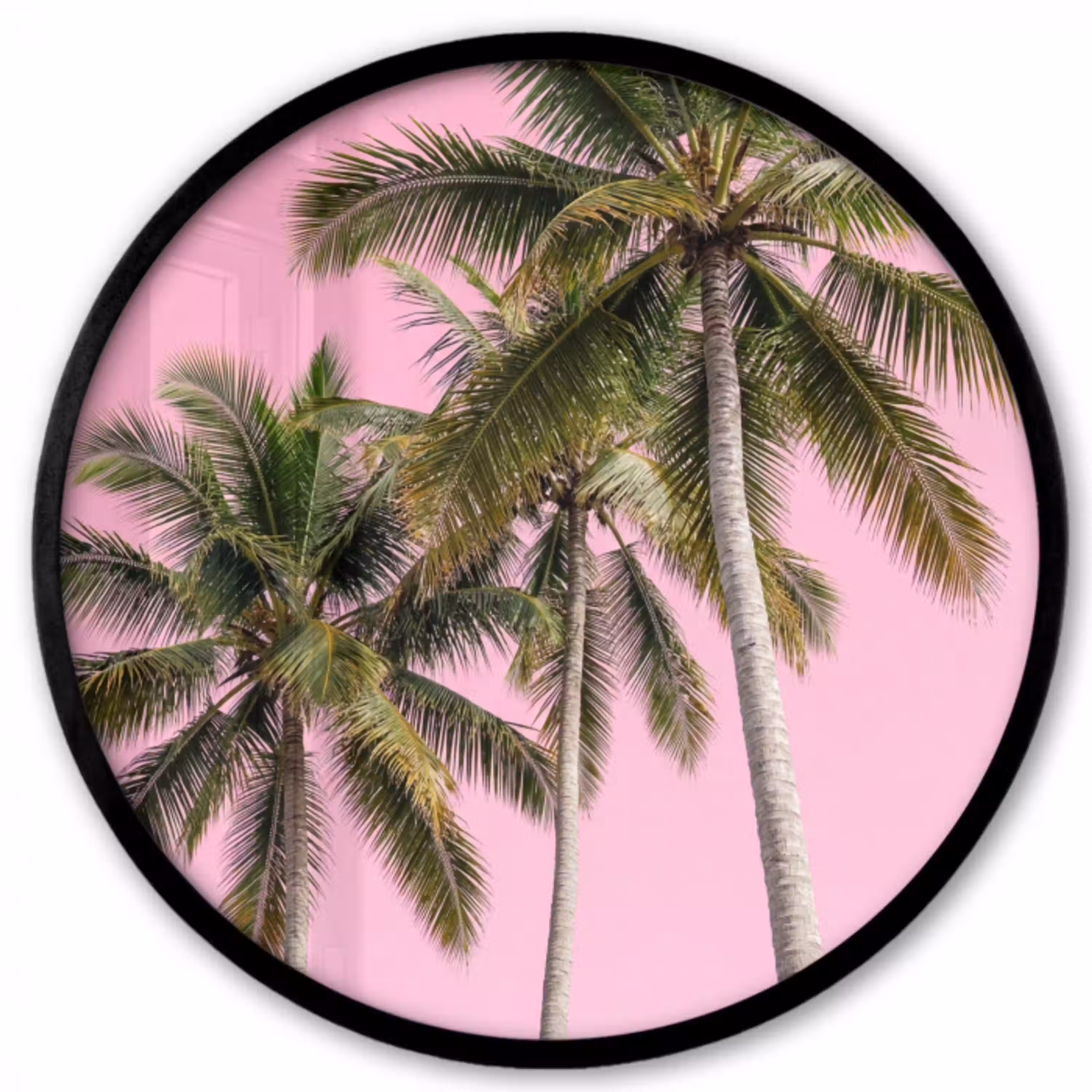 Palmboom - Tropisch - Pink Fotolijst rond zonder passe partout klein -3d