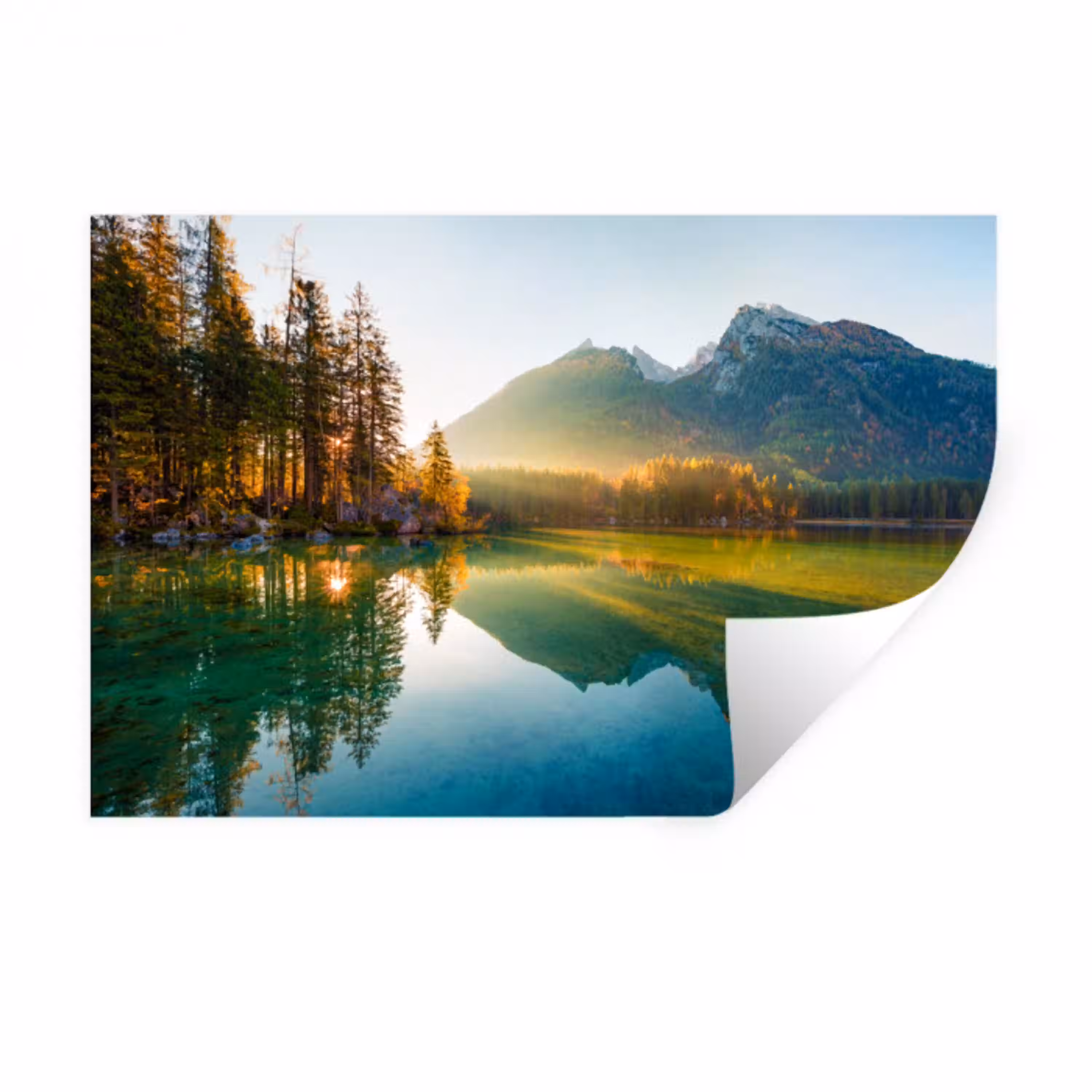 Meer - Bos - Bergen - Natuur - Zon - Landschap Muursticker klein -3d