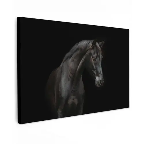 Paard - Dieren - Zwart - Portret Tuinposter op houten frame 2 cm dik klein -3d