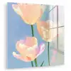 Tulpen - Roze accenten - Blauw plexiglas 5mm klein -zzzproduct_nieuw