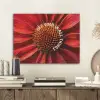Close up - Bloem - Quote - Rood PET vilt klein -sfeer1