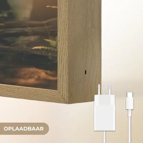 Konijn - Bos - Zonnestralen Light Box met batterij (Wandlamp) middel -USP_websiteoplaadbaarNL