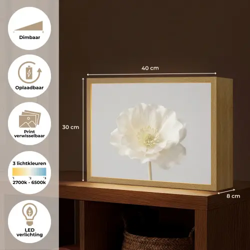 Bloem - Minimalistisch -Wit Light Box met batterij (Wandlamp) middel -USP_websiteoverzichtNL