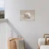 Schelp - Spiraal - Beige tuinposter los doek klein -sfeer8