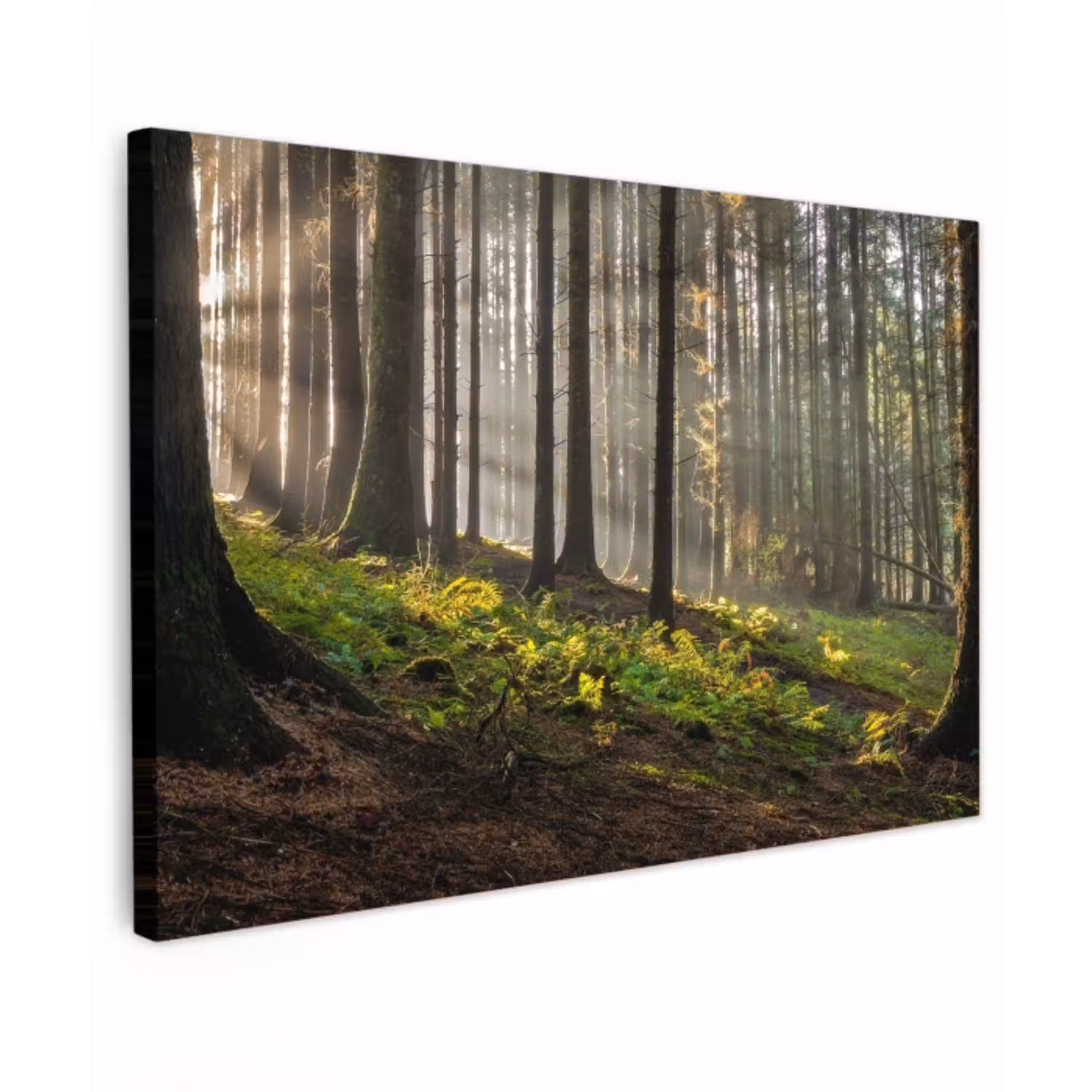 Zon - Takken - Bomen - Bos - Natuur Tuinposter op houten frame 2 cm dik klein -3d