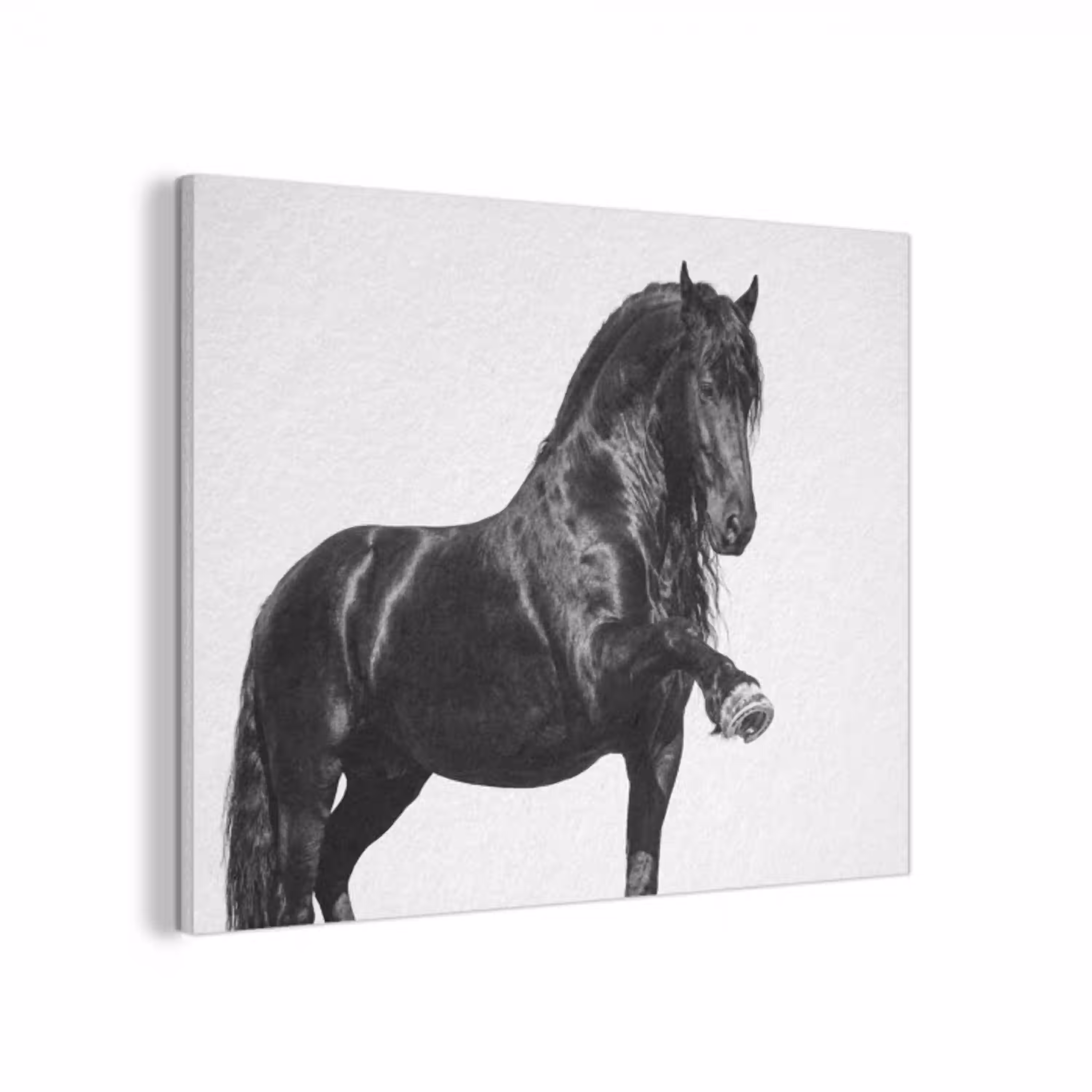 Fries - Hengst - Modern PET vilt klein -3d