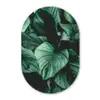 Jungle - Bladeren - Tropisch - Planten - Natuur Wandcirkel Ovaal Forex klein -3d