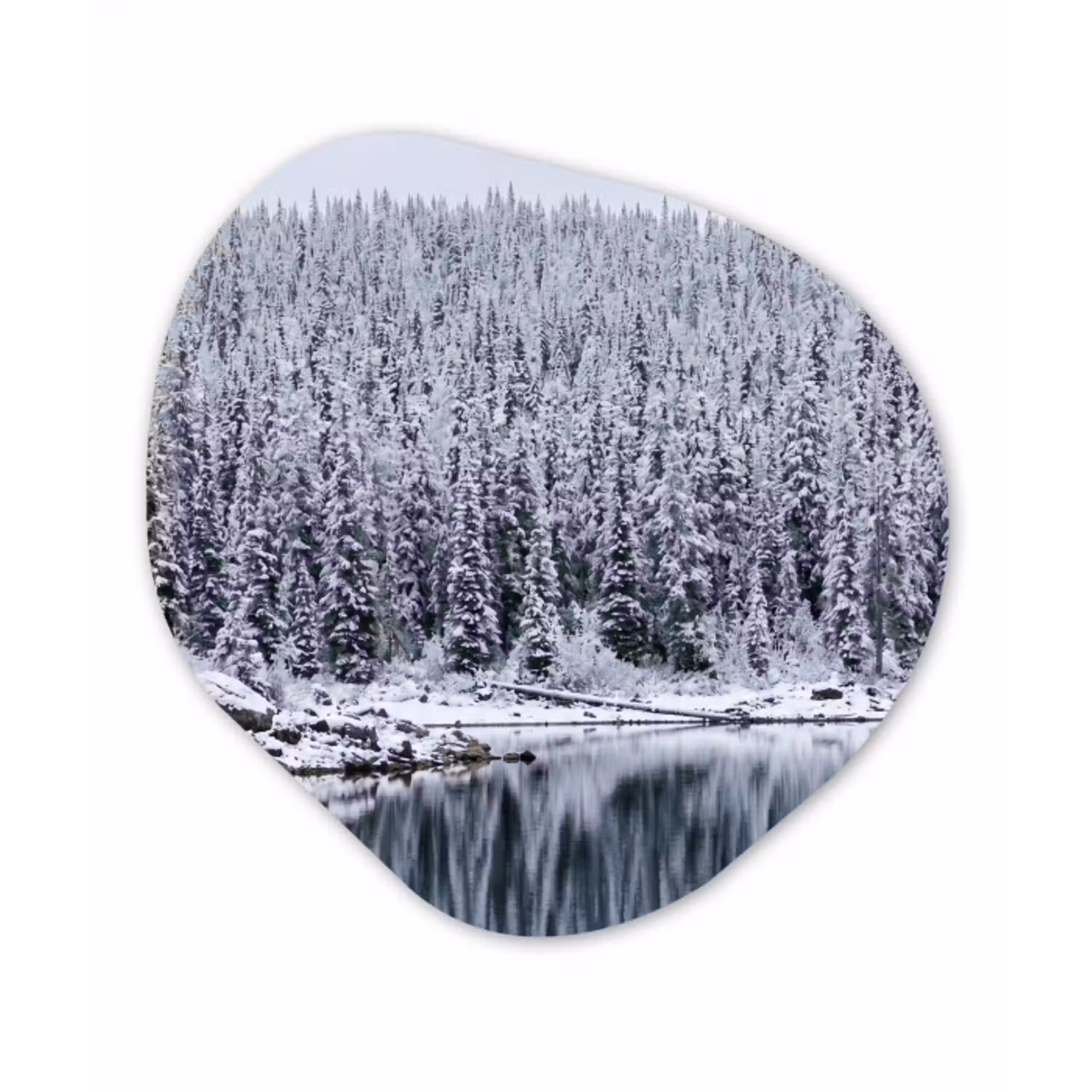 Bos - Reflectie - Meer - Winter - Serene Wandcirkel Organisch Forex 3mm klein -3d