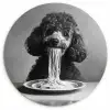Poedel - Hond - Zwart - Wit - Schattig - Pasta Wandcirkel plexiglas klein -3d