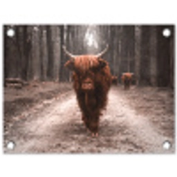 Hooglander in het Bos tuinposter los doek klein -3d