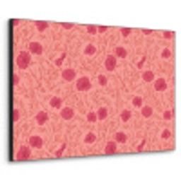 Weidebloemen - Romantisch - Roze Textielframe zwart klein 947 -3d
