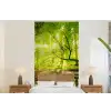 Bos - Landschap - Water - Bomen - Zon fotobehang vinyl groot -bed